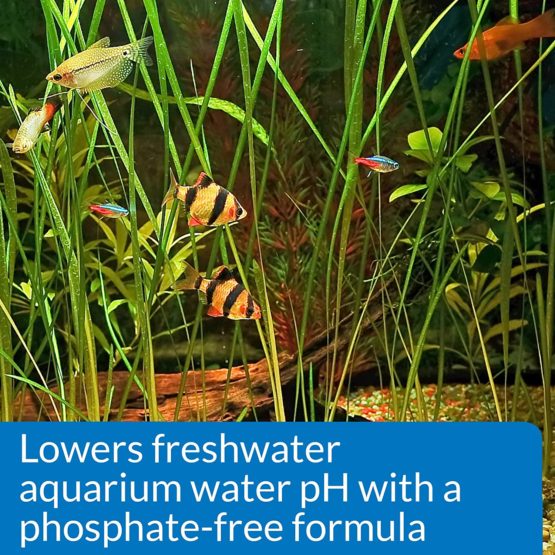 API pH DOWN Freshwater Aquarium Water pH Reducing Solution 118 ml Bottle - Image 4