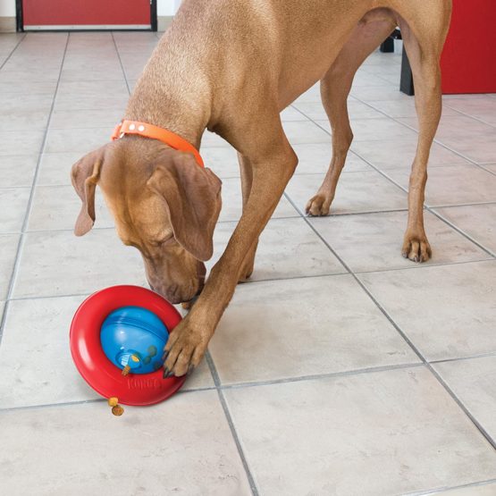 KONG - Gyro - Interactive Treat Dispensing Dog Toy - For Large Dogs - Image 2