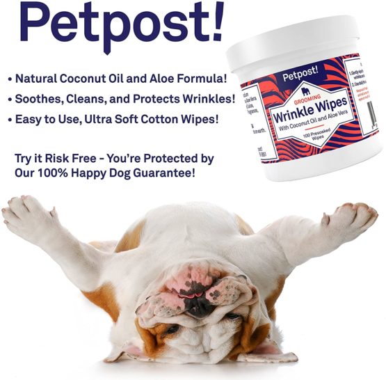 Petpost | Bulldog Wrinkle Wipes for Dogs - Cleans and Soothes Pug Wrinkles and Folds - 100 Ultra Soft Cotton Pads in Coconut Oil Solution (100 ct.) - Image 2