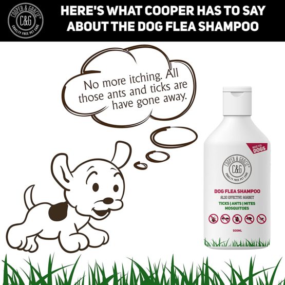 Flea Shampoo For Dogs 500ml - Sensitive Itchy Skin Dog and Puppy Grooming - Medicated Fleas Treatment - Image 3
