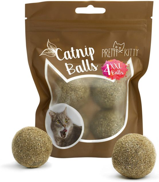 pawbreakers catnip ball