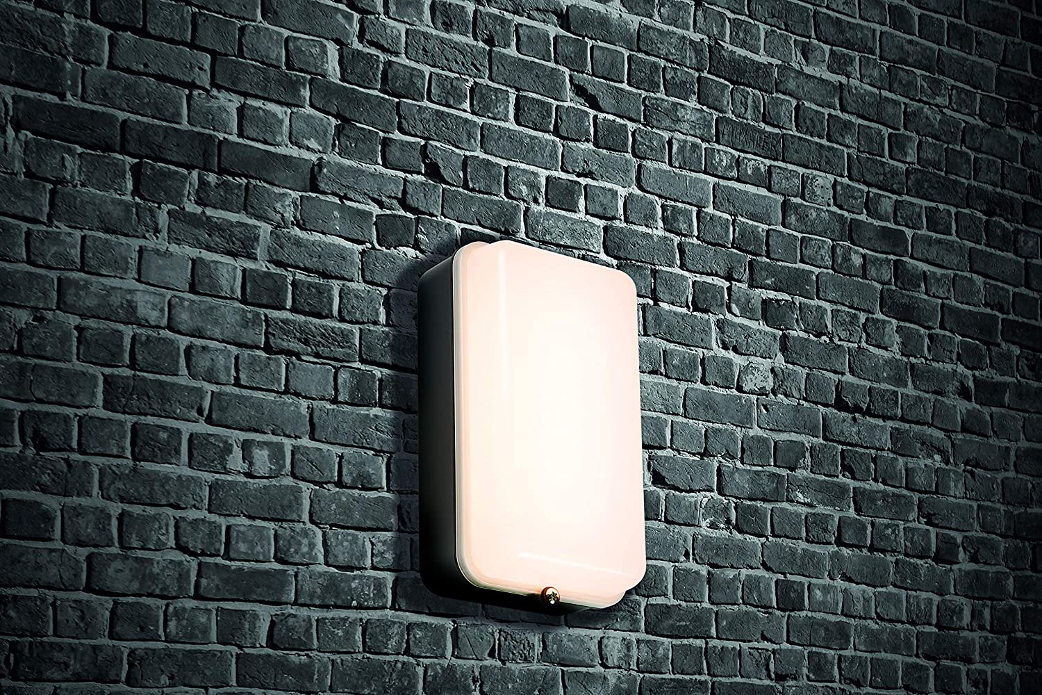 230V IP54 5W LED Security Amenity Bulkhead Black Base with Opal Diffuser Cool White 4000K, Black - Opal Diffuser - Image 2