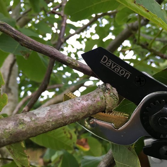 Anvil Secateurs - Premium Pruning Shears/Garden Secateurs/Pruning Scissors- Soft Grip Ideal for Arthritic Hands For Tough Branches, Bushes + Trimming- Secateurs & pruning scissors- Davaon Pro - Image 4