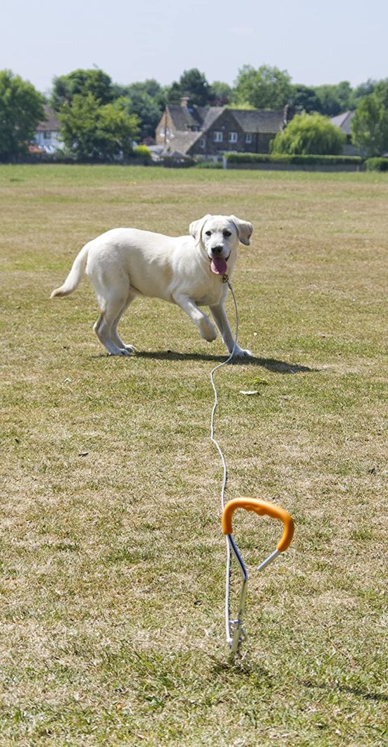 Pet Brands Rac Tie Out Stake and Cable, silver - Image 4