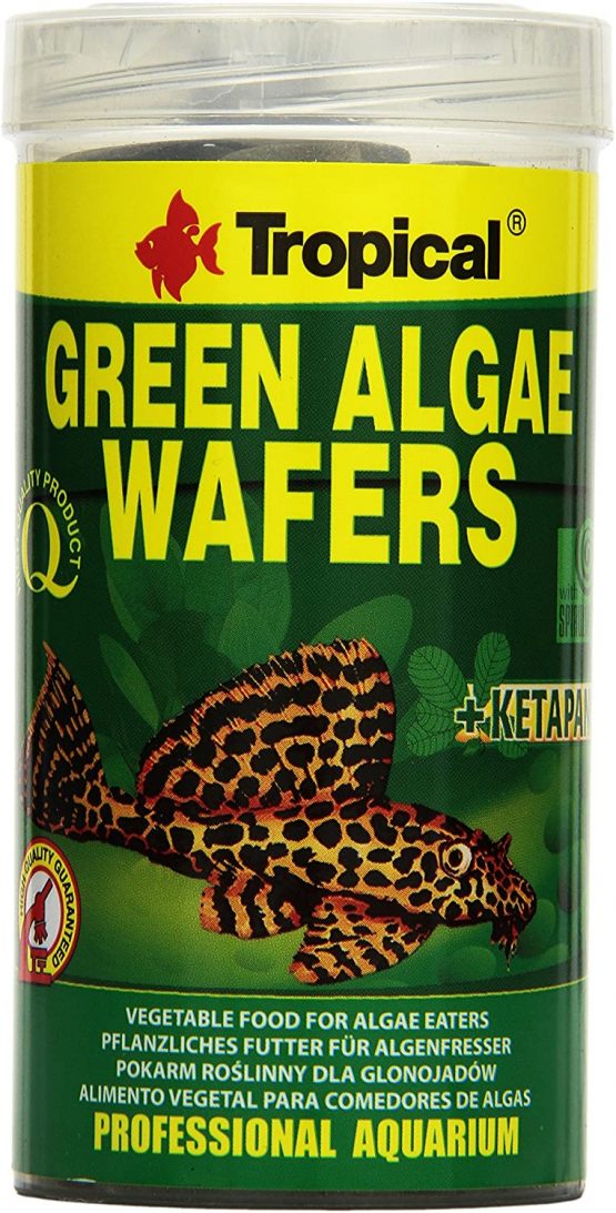 TROPICAL®, Green Algae Wafers, catfish chips, 250 ml