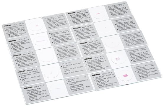 Konus Preparation Set - Parasites (Pack of 10) - Image 2