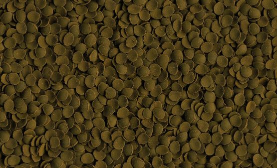 Tetra Pleco Wafers - Image 3
