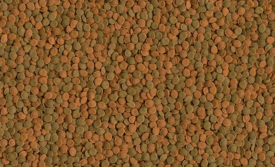TetraWafer Mix,100 ml - Image 3