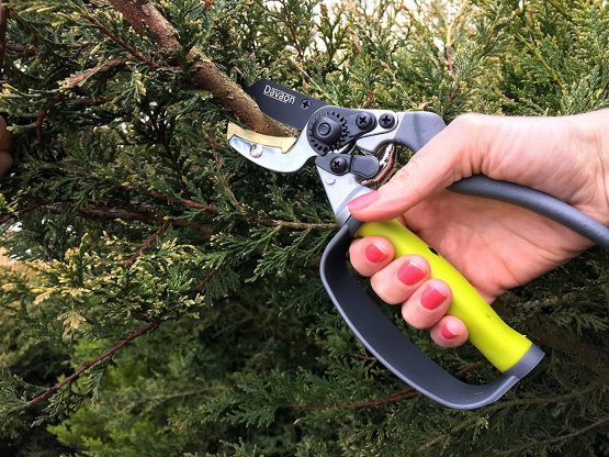 Anvil Secateurs - Premium Pruning Shears/Garden Secateurs/Pruning Scissors- Soft Grip Ideal for Arthritic Hands For Tough Branches, Bushes + Trimming- Secateurs & pruning scissors- Davaon Pro - Image 2