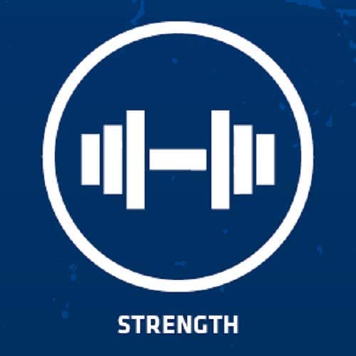 USN Micronized Creatine Monohydrate Powder, Unflavoured, 500g, Energy Drink for High Intensity Training Muscle Growth - Image 3