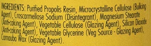 Bee Health Propolis Tablets 90 x 1000mg, 90 count (Pack of 1) - Image 4