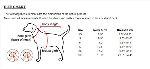 Puppia Soft Jacket Harness, XXL, Skyblue, Sky Blue - Image 4
