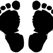 cArt-Us Stamp Footsteps, Brown
