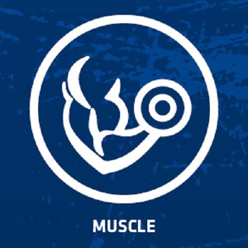USN Micronized Creatine Monohydrate Powder, Unflavoured, 500g, Energy Drink for High Intensity Training Muscle Growth - Image 4