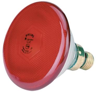 Philips Kerbl Economy Infrared Lamp 175 W Red, 175 W - rot