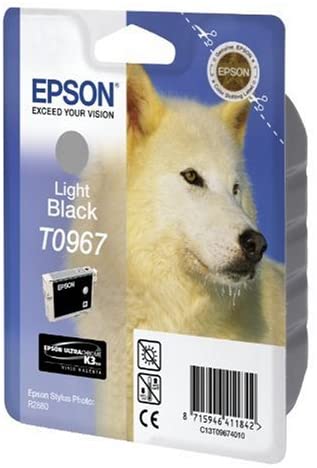 Epson T0967 Ink Cartridge, Light Black, Genuine - Image 2
