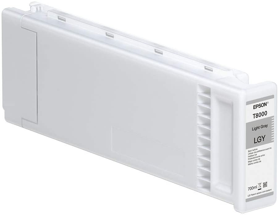 EPSON Singlepack Gray T800900, Grey, Standard Capacity - Image 2