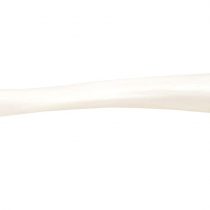3B Scientific A35/3 Tibia Model + free anatomy software - 3B Smart Anatomy