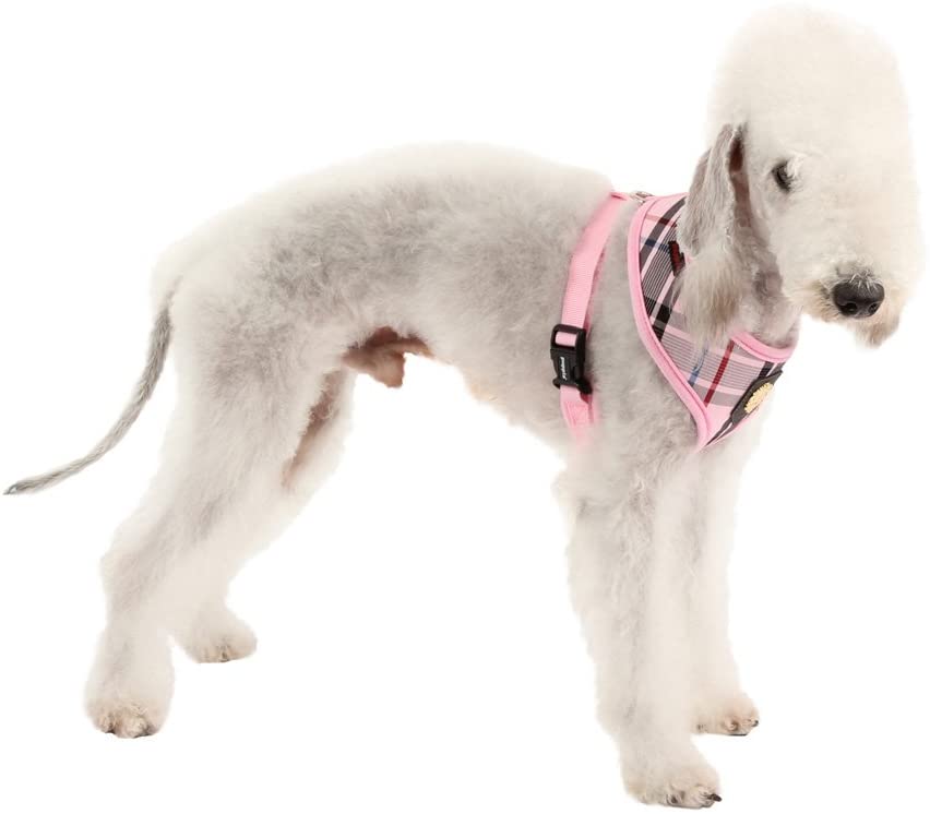 Puppia Junior Harness, Medium, Pink - Image 4