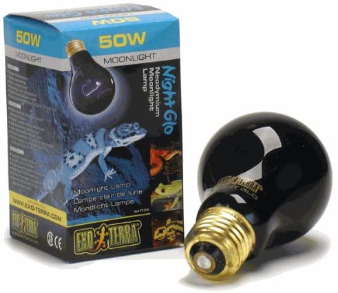 Exo Terra Night Heat Lamp, 50 W, Blue, 50w