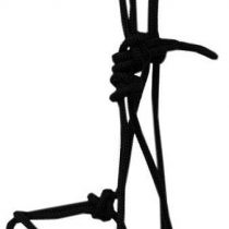 Knot Halter with Rings, Black, Size Thoroughbred for Training, Floor Work or Lunging and Riding | Side Pull Bridle | Bitless Halter