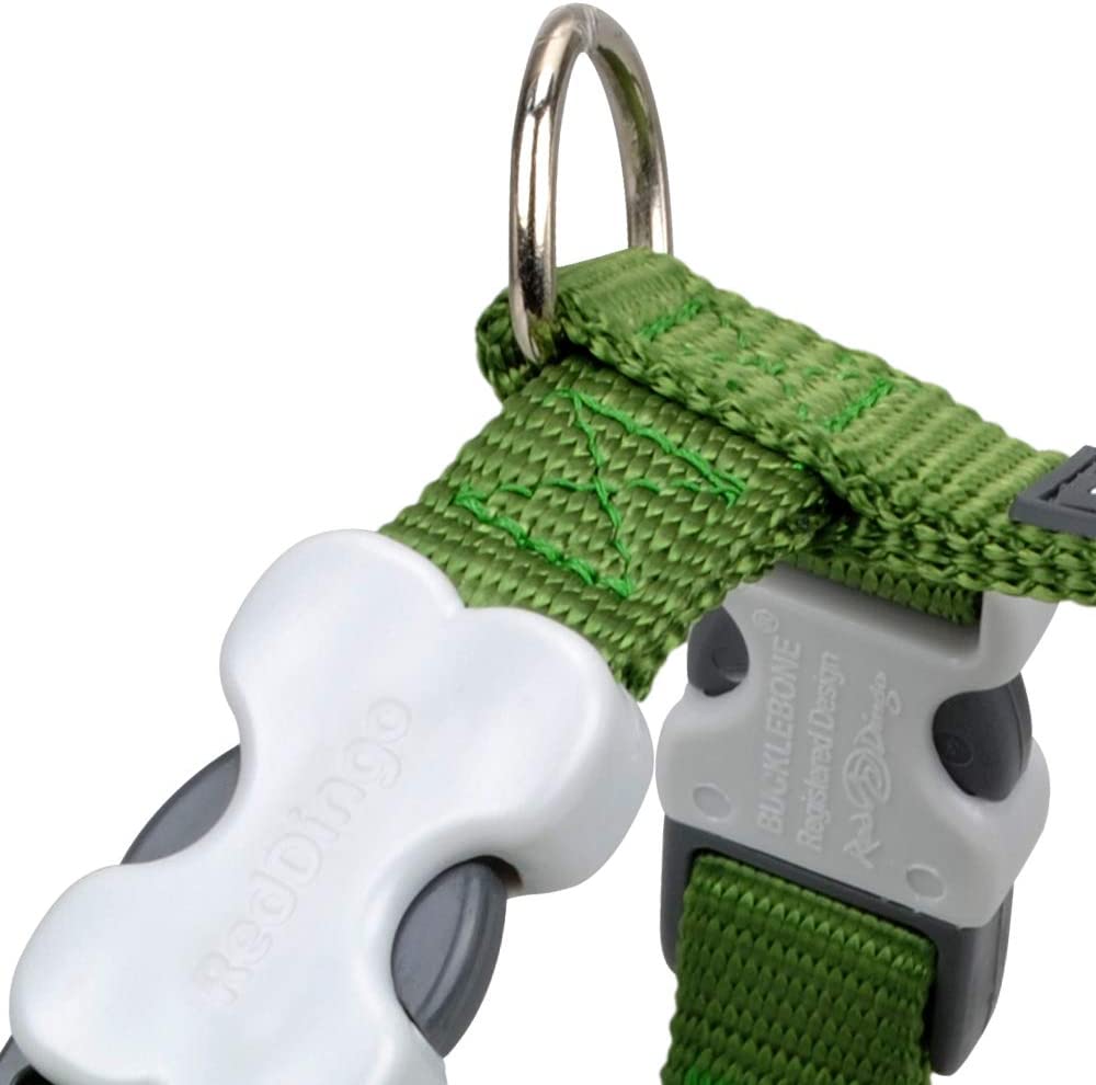 Red Dingo Classic Dog Harness Plain, Green, Medium 20mm, M (Pack of 1) - Image 2