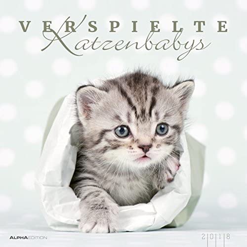 Wall Calendar"Kittens 2018 33 x 33 cm