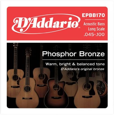 D'Addario PBB065 Phosphor Bronze Acoustic Bass Single Strings Long Scale, .065