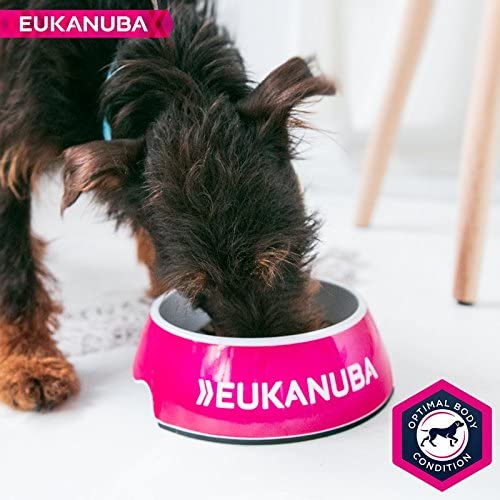 Eukanuba Complete Dry Dog Food for Puppy Small Breeds with Fresh Chicken 3 kg, black, 3 kg (Pack of 1) - Image 4