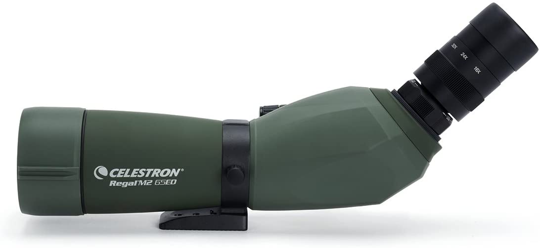 Celestron 52304 Regal M2 16-48x65mm ED Angled Zoom Spotting Scope with Multi-Coated Optics, BaK-4 Prism Glass - Image 3