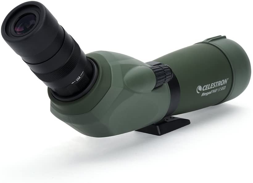 Celestron 52304 Regal M2 16-48x65mm ED Angled Zoom Spotting Scope with Multi-Coated Optics, BaK-4 Prism Glass - Image 2