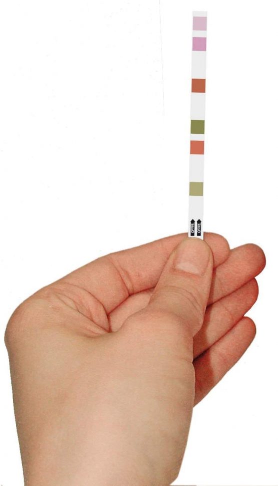 Tetra Test 6-in-1 Strips Aquarium to Test 6 Essential Water Quality Parameters in Less Than 60 Seconds, Pack of 25 - Image 3