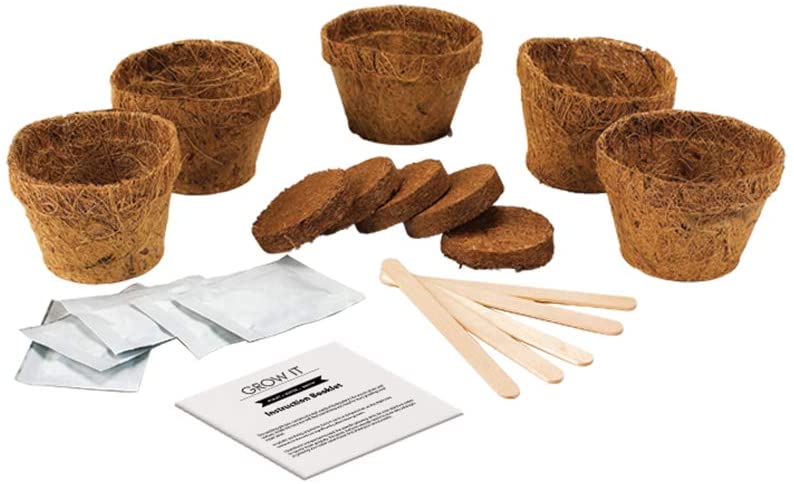 Gift Republic GR200010: Grow It. Grow Your Own Carnivorous Plants, Green - Image 4
