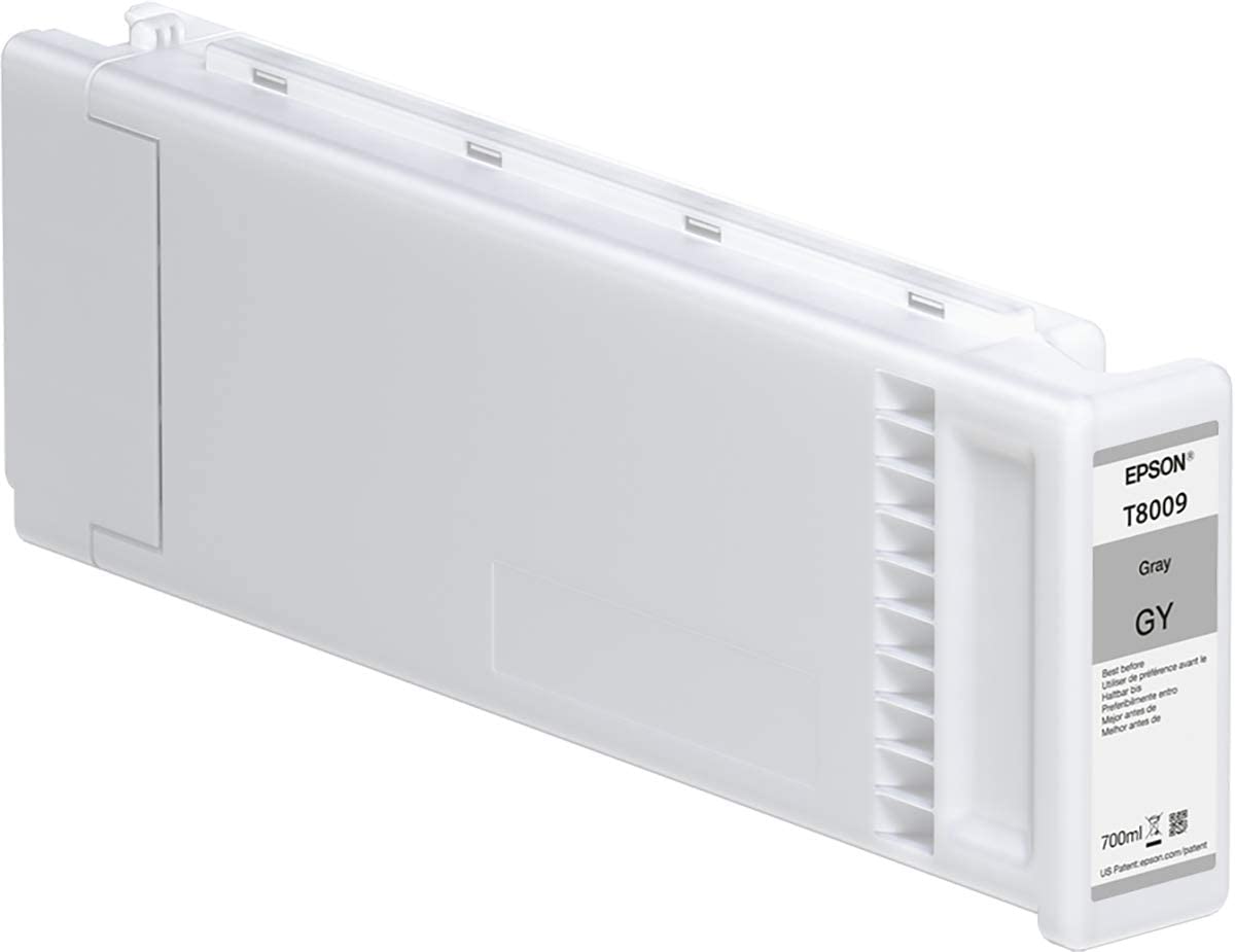EPSON Singlepack Gray T800900, Grey, Standard Capacity - Image 3