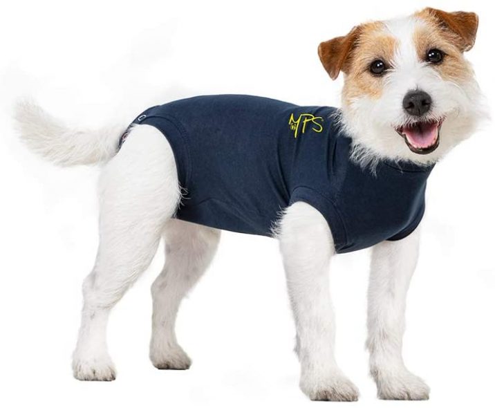 petsmart dog t shirts