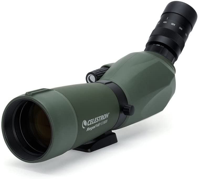 Celestron 52304 Regal M2 16-48x65mm ED Angled Zoom Spotting Scope with Multi-Coated Optics, BaK-4 Prism Glass