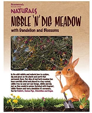 Rosewood Naturals Nibble 'n' Dig Meadow, Small Animal Treat and Toy for Rabbits Guinea Pigs, Chinchillas and Degus