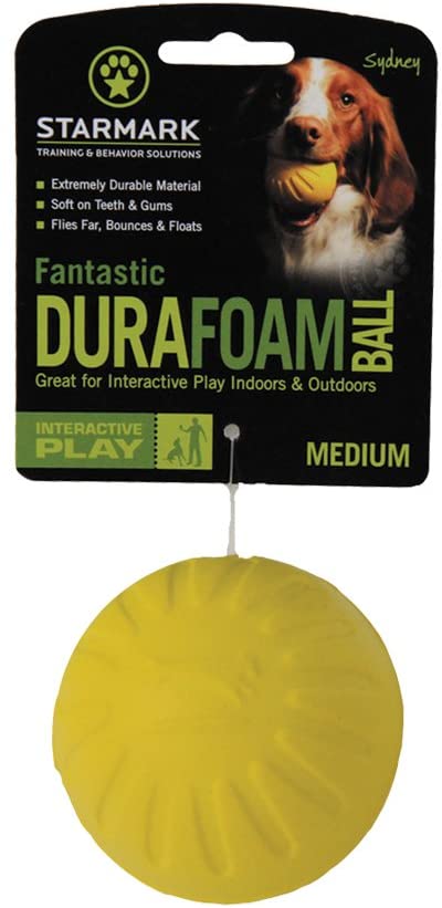 Everlasting Dog Toy Fantastic Foam Ball Assorted Colors, Multi, 1