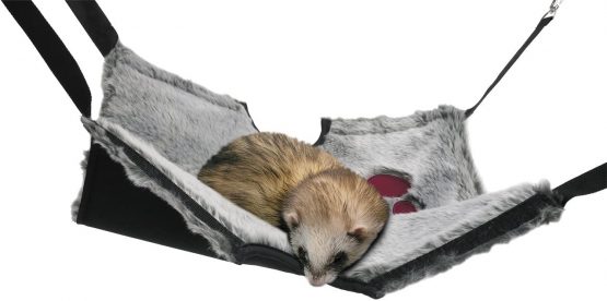 Rosewood Snuggles 2-in-1 Hanging Tunnel and Ha mm ock