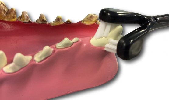 Petosan Dental Care Kit for Large Dogs - Image 2