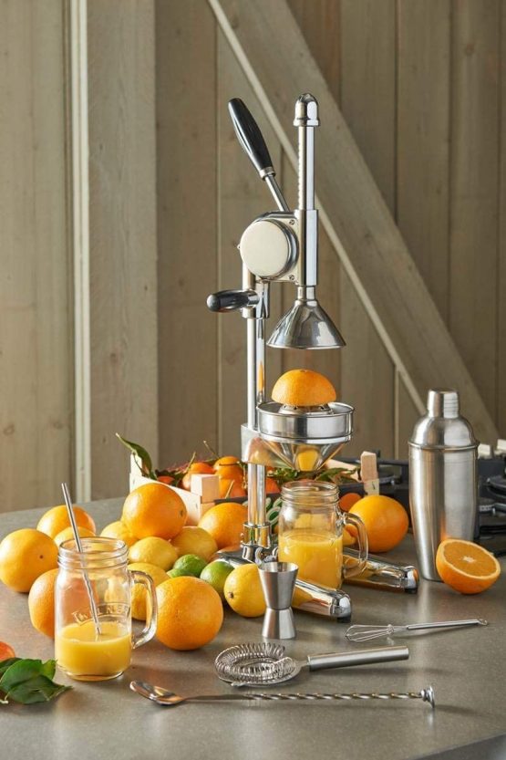 Leopold Vienna Profi Hand Fruit Juicer - Image 2