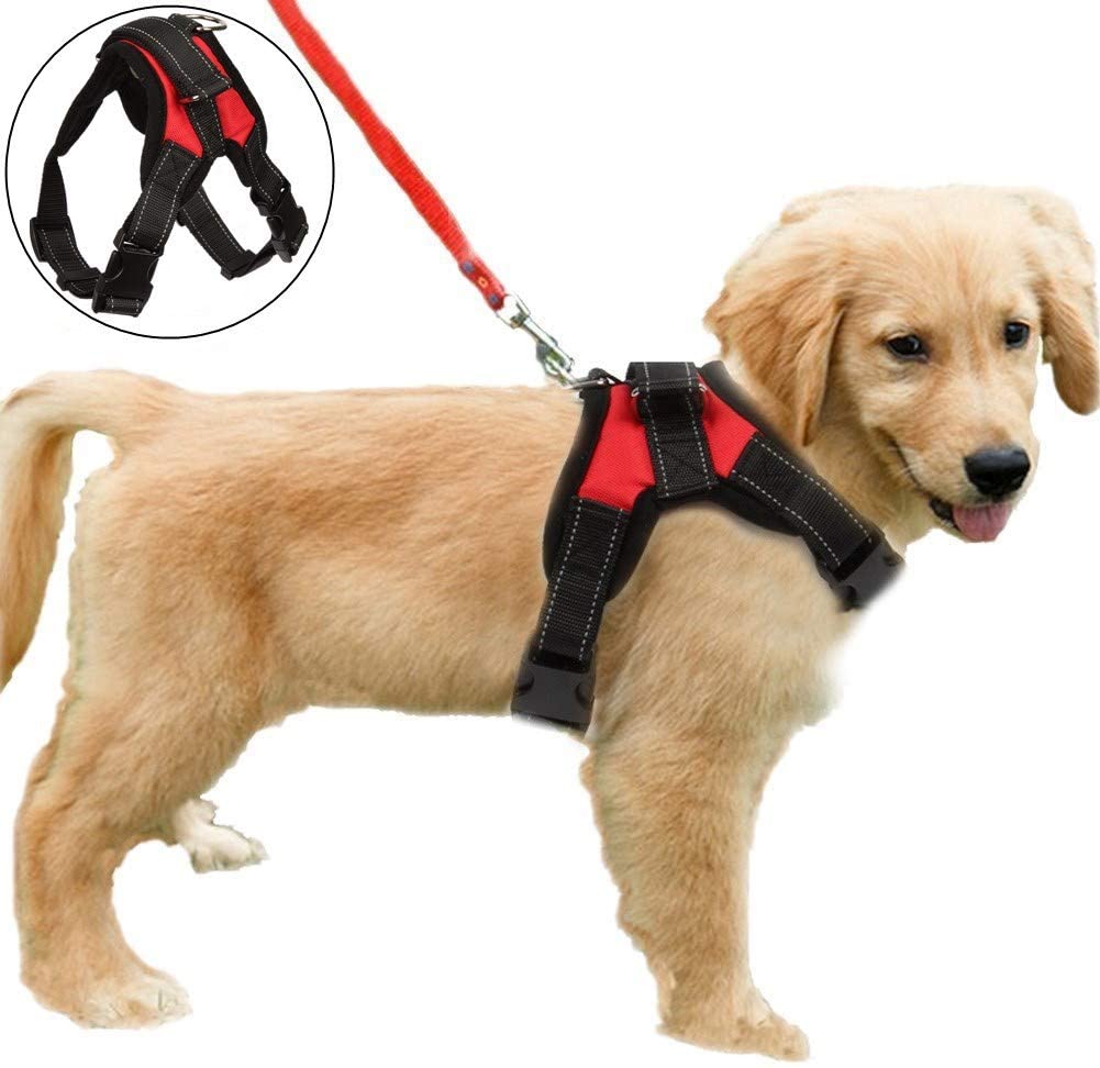 FUNKEEN PET HOUSE No Pull Dog Harness Adjustable Soft Padded Dog Vest Harnesses Chest Strap for Outdoor Walking Training Assistance (S