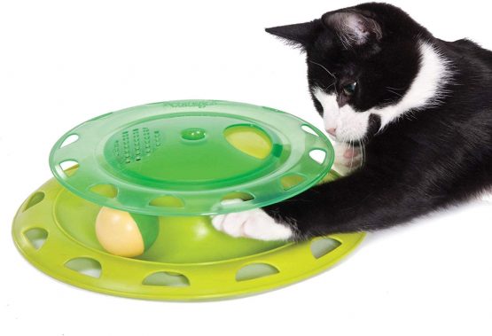 Petstages Catnip Chase Track Green Interactive Cat Toy - Image 3