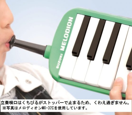 Suzuki Bass Melodion - Image 4