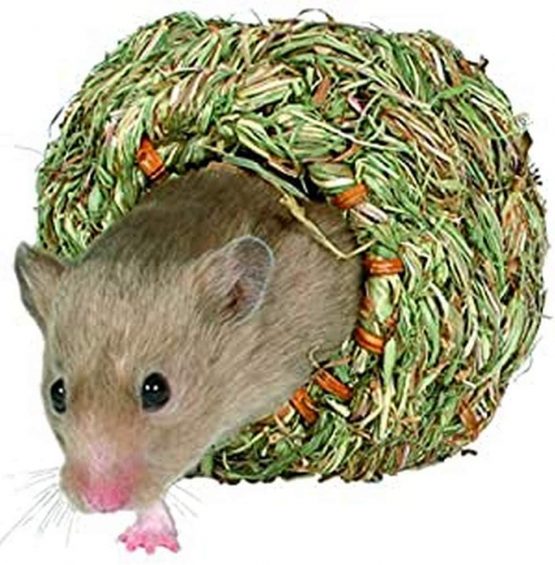 Trixie Grass Nest for Hamsters, 10 cm