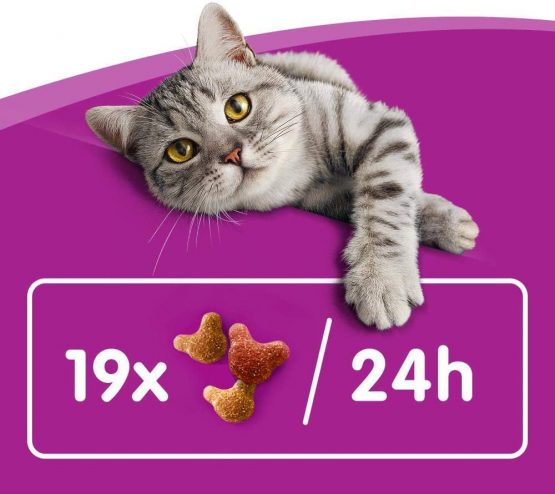 Whiskas Crunch Cat Treats 100g (Pack of 10) - Image 3