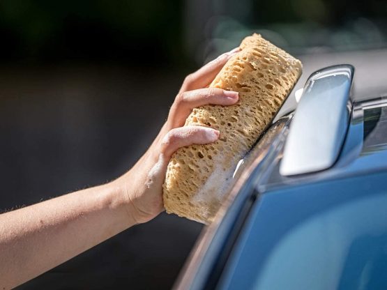 PA APA 19630 Natural Car Sponge 180 x 120 x 65 mm - Image 4