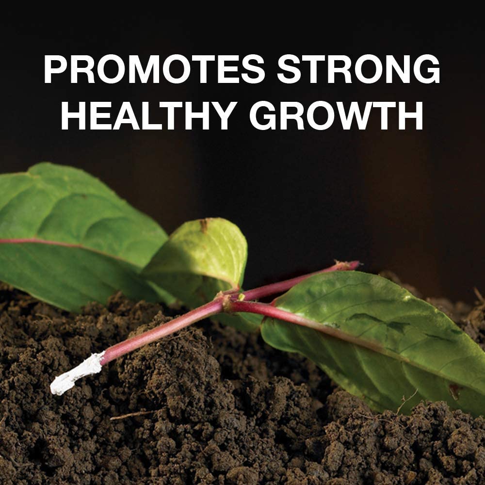 Doff Natural Rooting Powder Promotes Strong Healthy Roots 75G, Multicoloured - Image 2