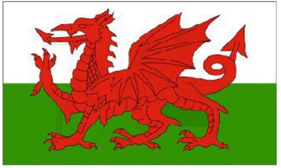 5ft X 3ft Wales Dragon National Flag
