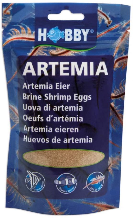 Hobby Artemia Eggs - Image 3